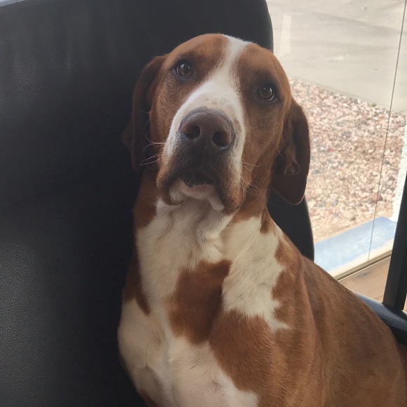 Meet your Posher, Julie - Picture 1 of 1